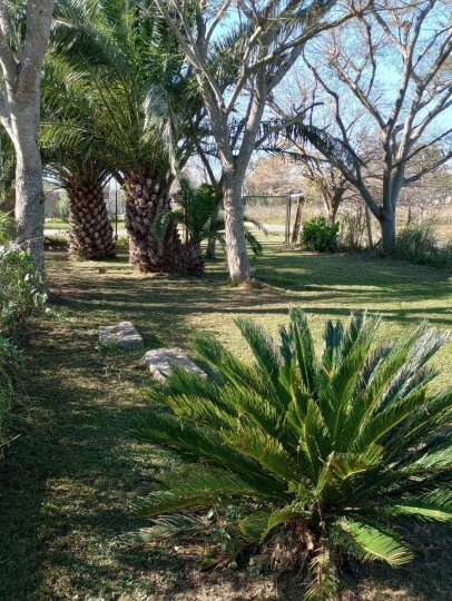 Casas - Iriondo - Venta