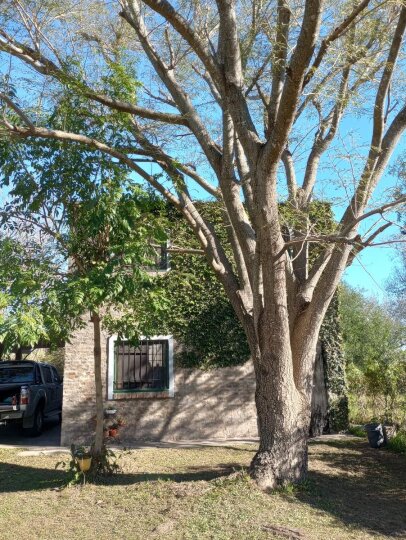 Casas - Iriondo - Venta