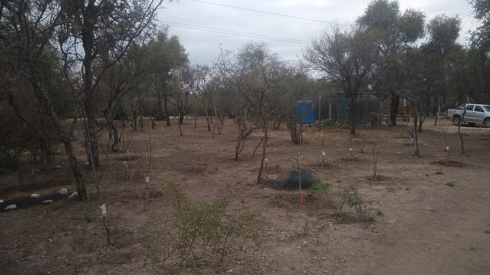 CASA EN VILLA LAS ROSAS - Imagen 9
