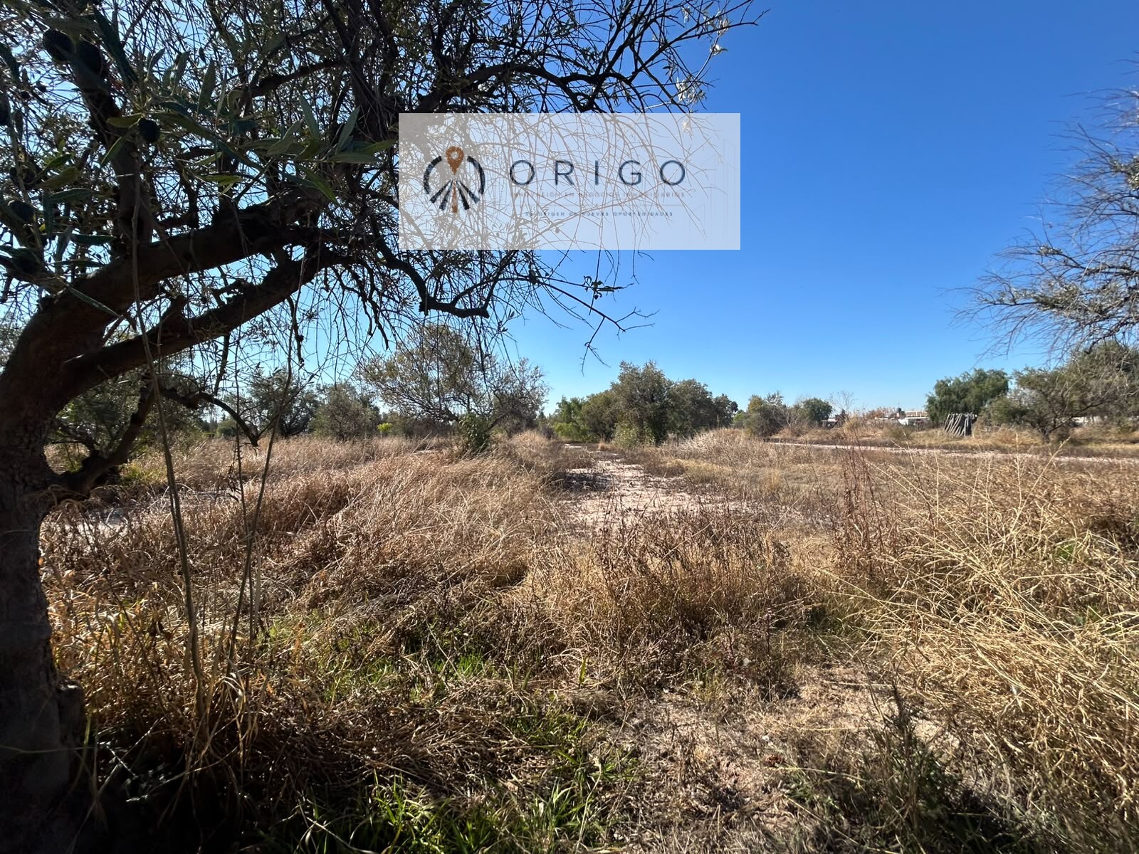 Lote en Venta en Maipu, Mendoza - USD 260.000 | Inmoup - 10