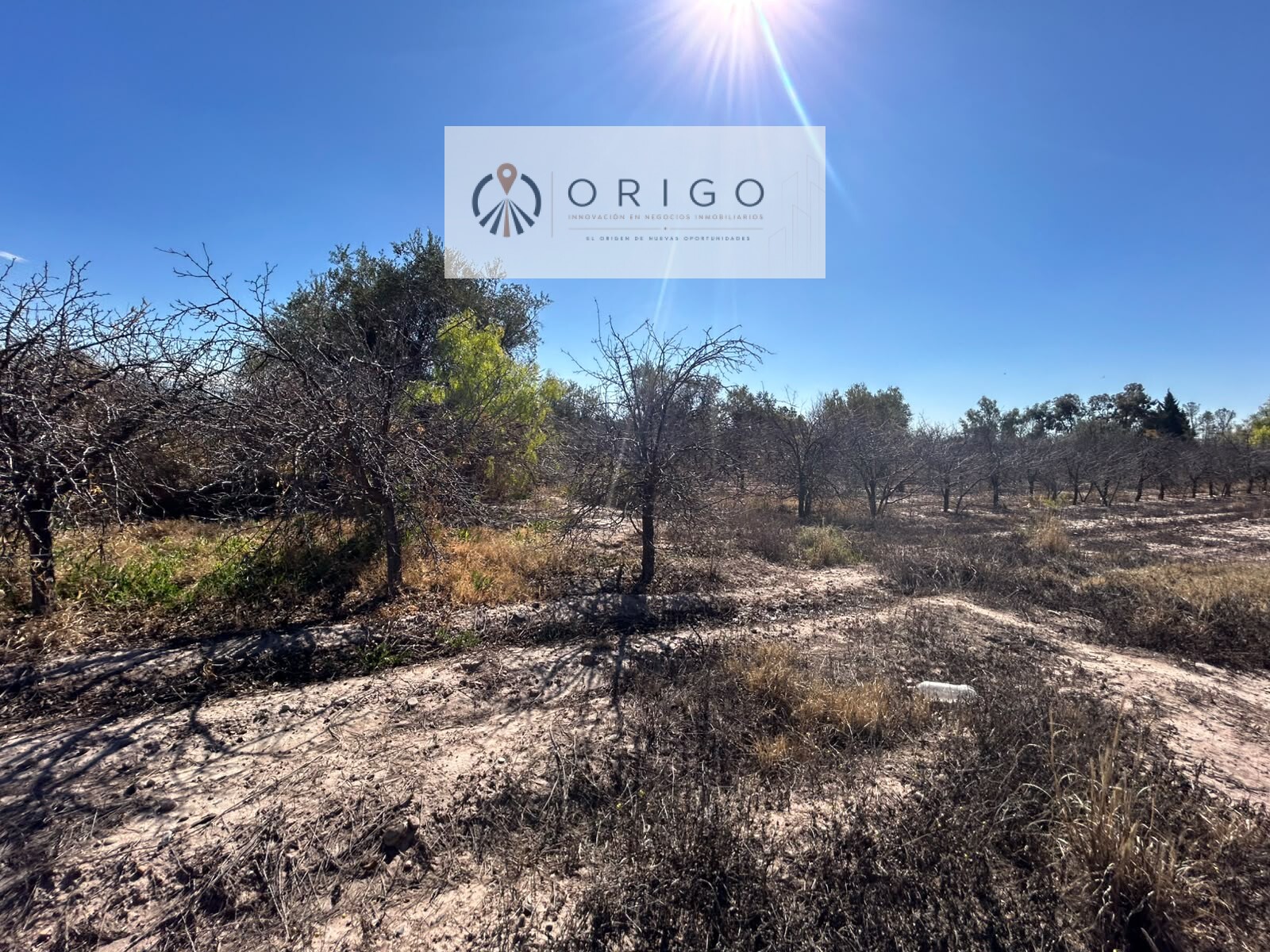 Lote en Venta en Maipu, Mendoza - USD 260.000 | Inmoup - 7