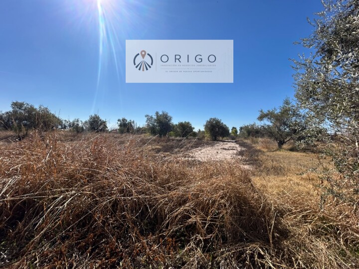 Terreno en Maipú Ideal para Desarrolladores · foto 2