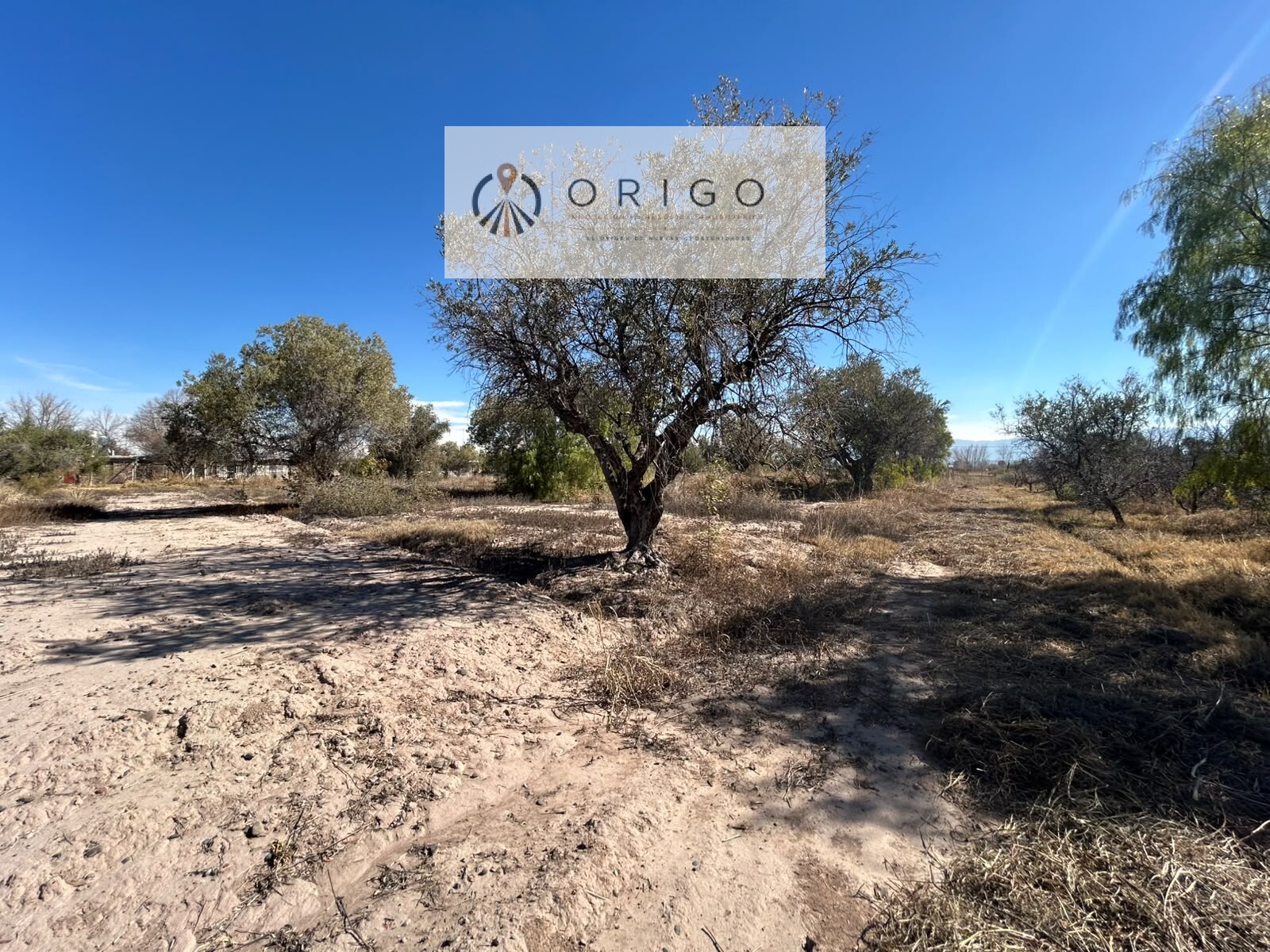 Lote en Venta en Maipu, Mendoza - USD 260.000 | Inmoup - 6