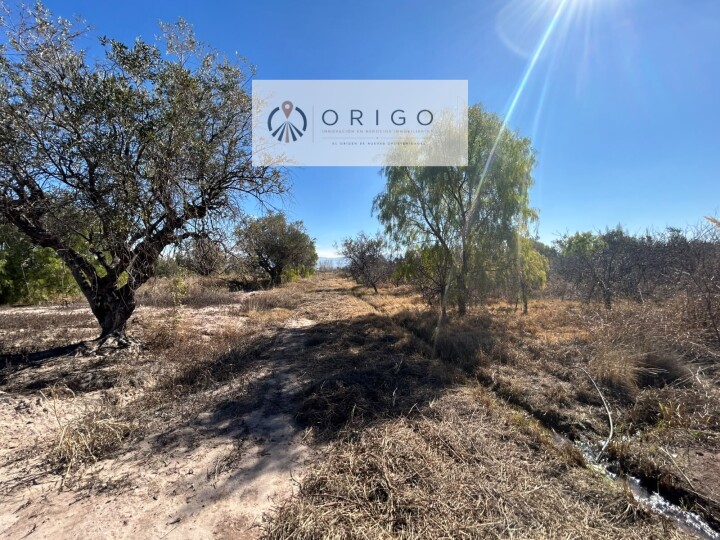 Terreno en Maipú Ideal para Desarrolladores · foto 4