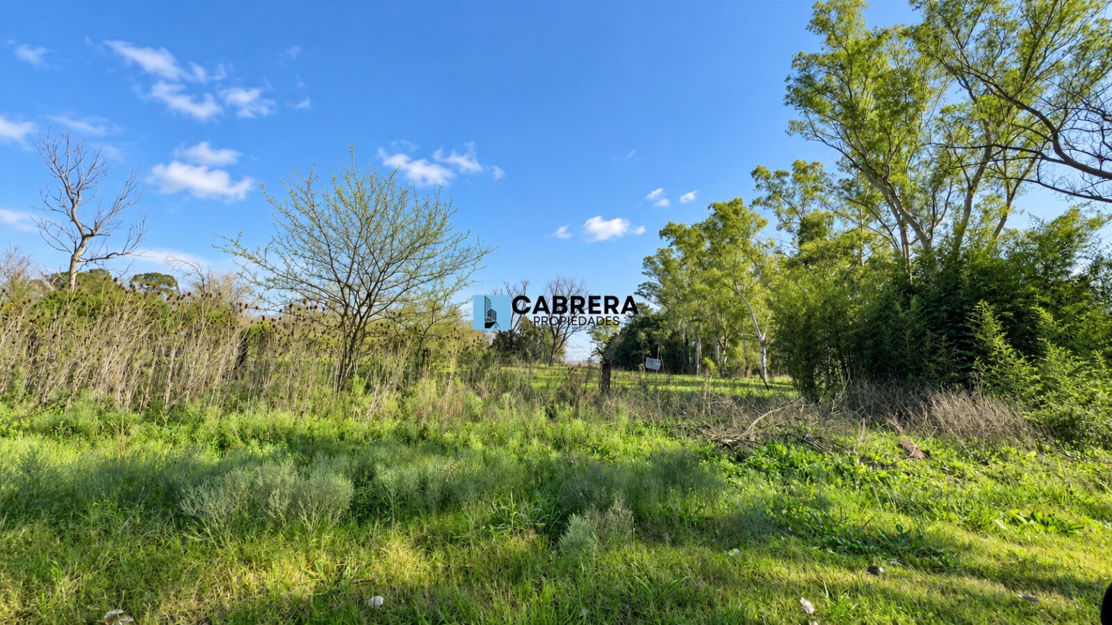 FRACCION DE 40.000 M2 EN VENTA EN MARIANO ACOSTA - 3