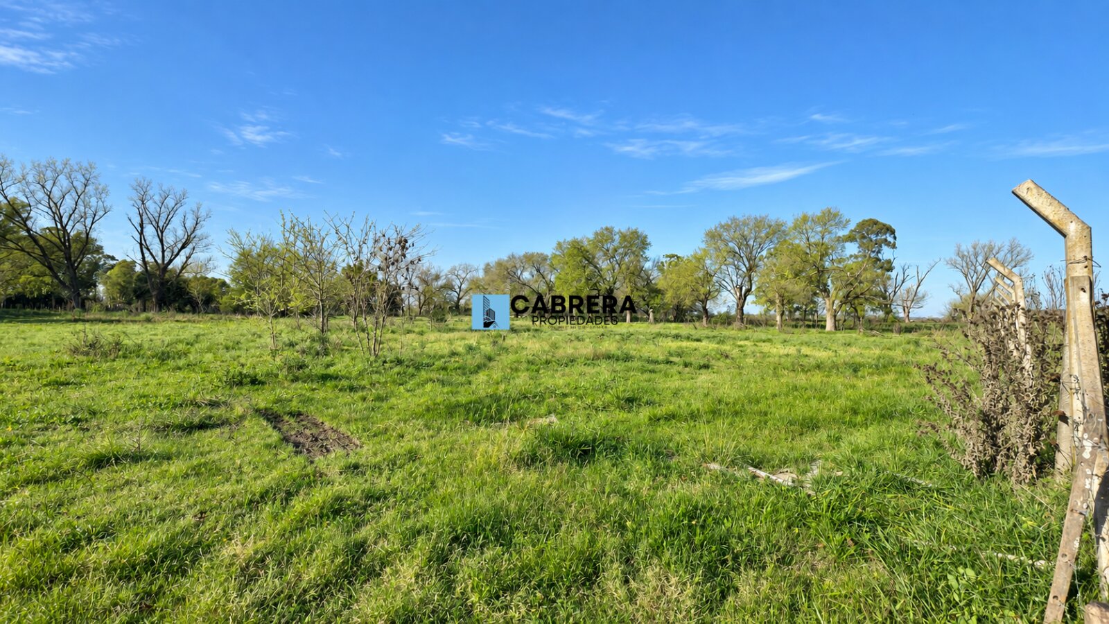 FRACCION DE 40.000 M2 EN VENTA EN MARIANO ACOSTA - 16