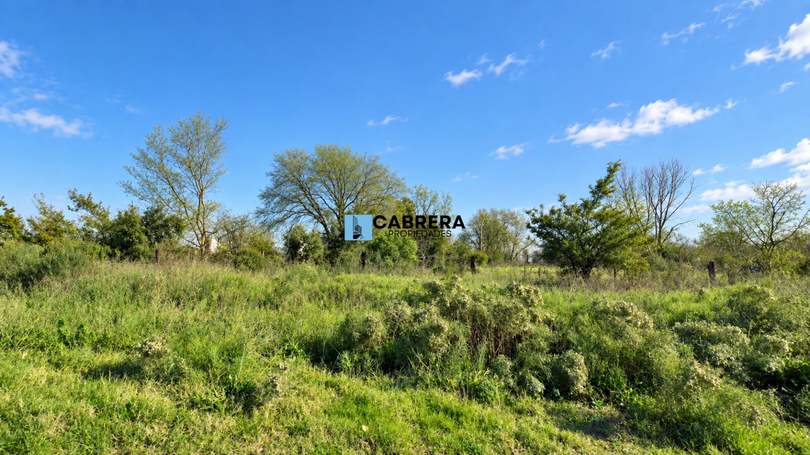 FRACCION DE 40.000 M2 EN VENTA EN MARIANO ACOSTA - 7