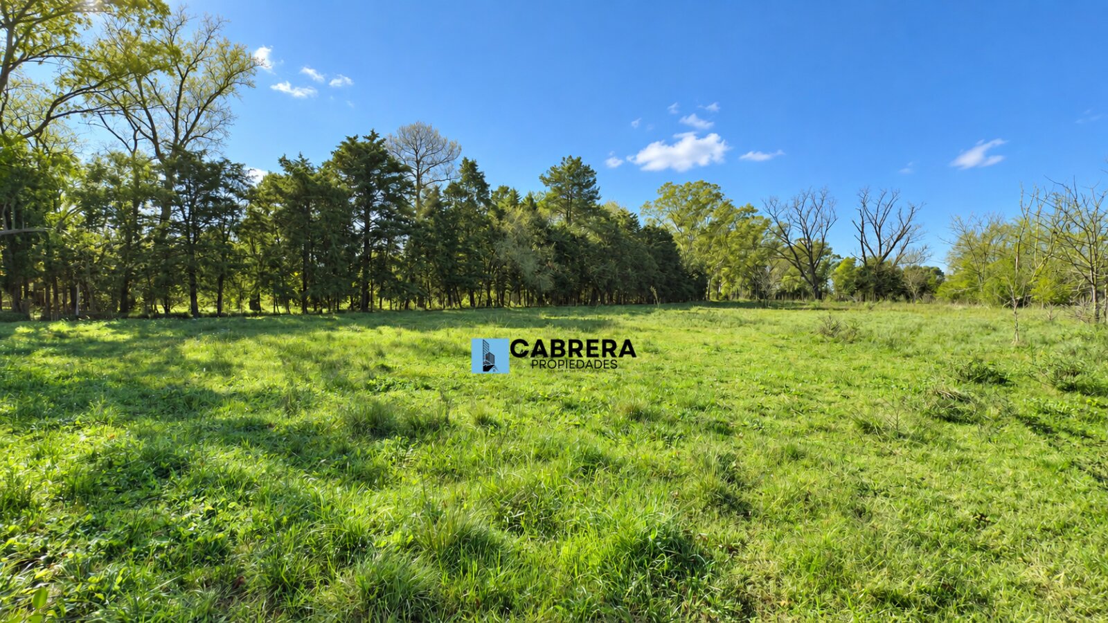 FRACCION DE 40.000 M2 EN VENTA EN MARIANO ACOSTA - 10