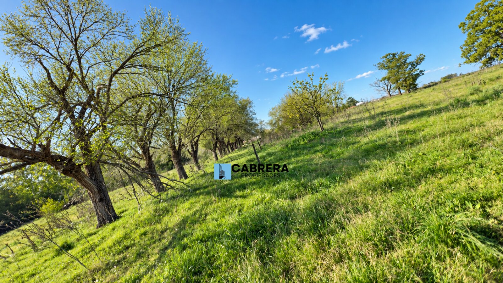 FRACCION DE 40.000 M2 EN VENTA EN MARIANO ACOSTA - 12