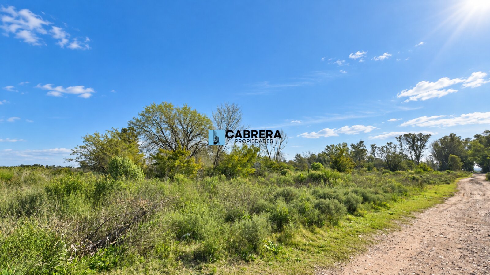 FRACCION DE 40.000 M2 EN VENTA EN MARIANO ACOSTA - 6