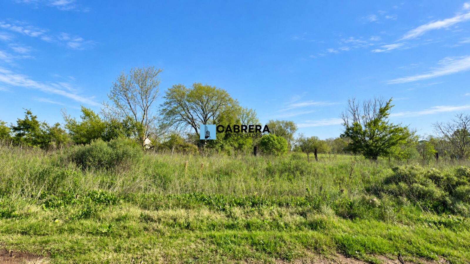 FRACCION DE 40.000 M2 EN VENTA EN MARIANO ACOSTA - 5