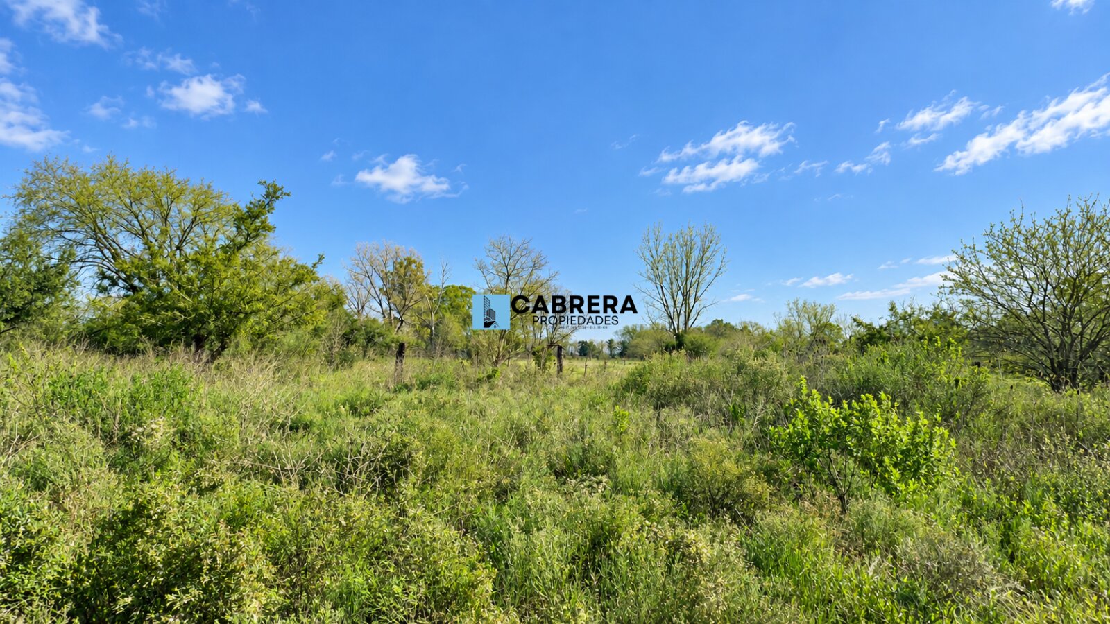 FRACCION DE 40.000 M2 EN VENTA EN MARIANO ACOSTA