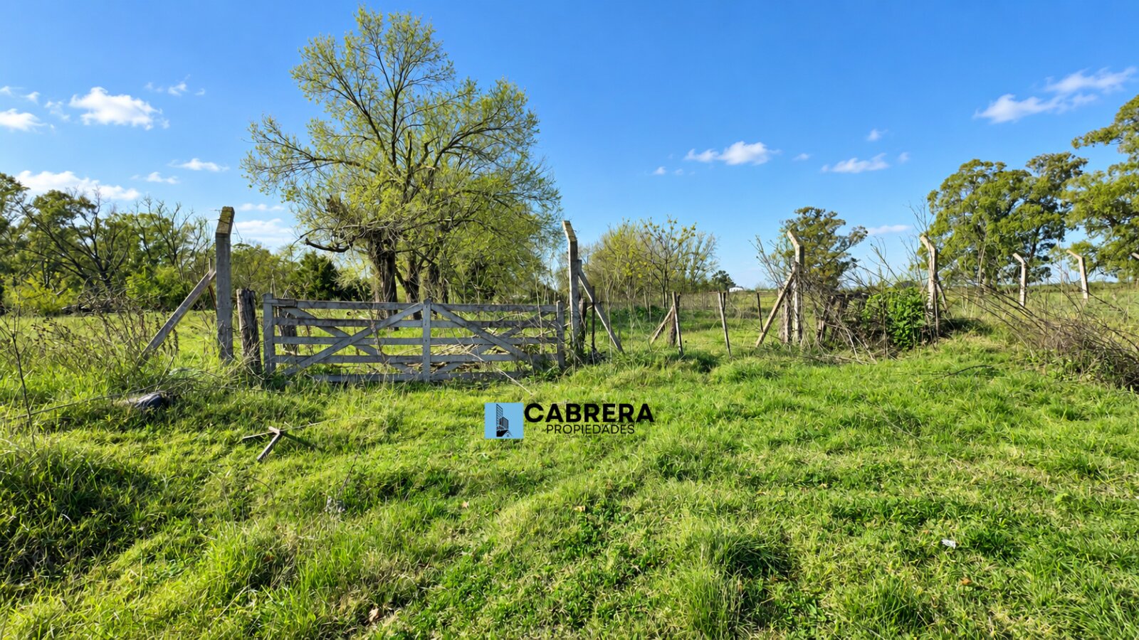 FRACCION DE 40.000 M2 EN VENTA EN MARIANO ACOSTA - 8
