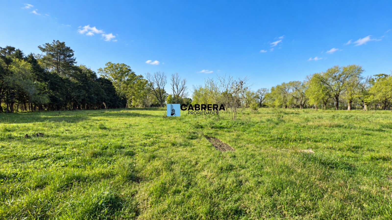 FRACCION DE 40.000 M2 EN VENTA EN MARIANO ACOSTA - 11