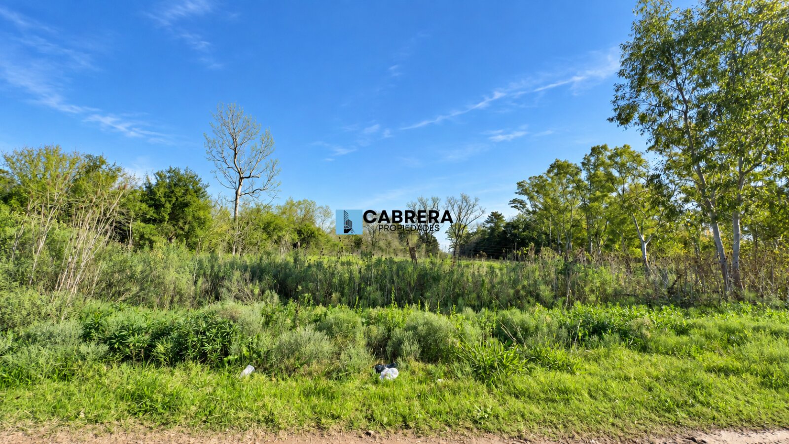 FRACCION DE 40.000 M2 EN VENTA EN MARIANO ACOSTA - 2
