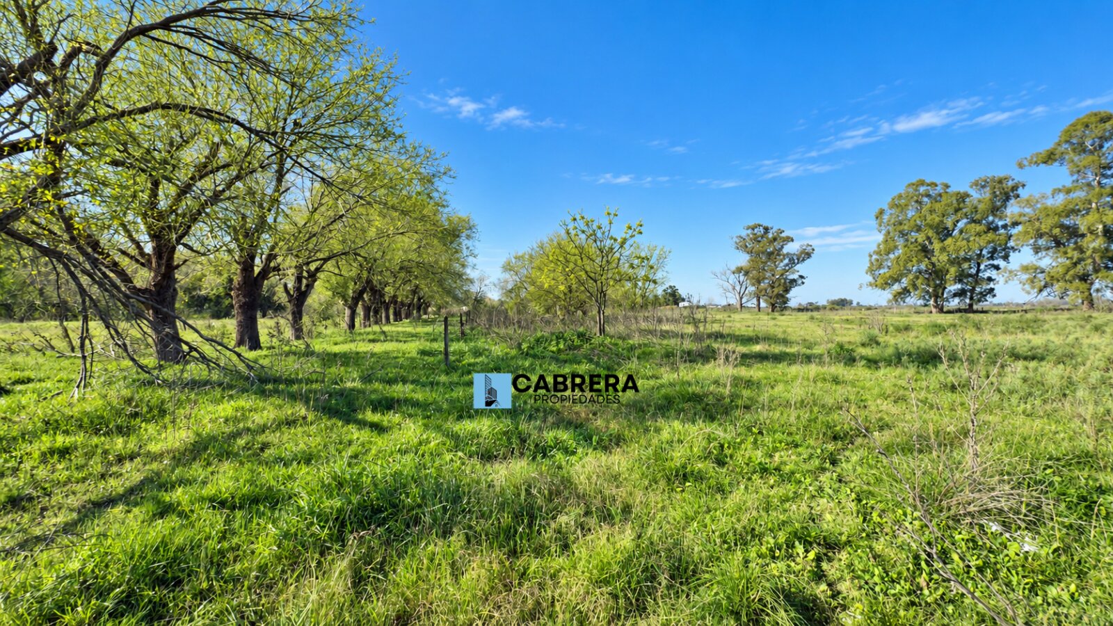 FRACCION DE 40.000 M2 EN VENTA EN MARIANO ACOSTA - 9