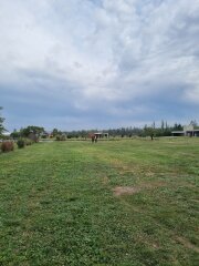 Terrenos - Timbues - Venta