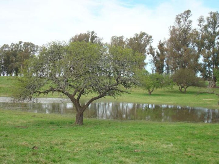 Terrenos - Timbues - Venta