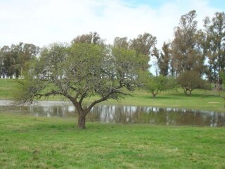 Terrenos - Timbues - Venta