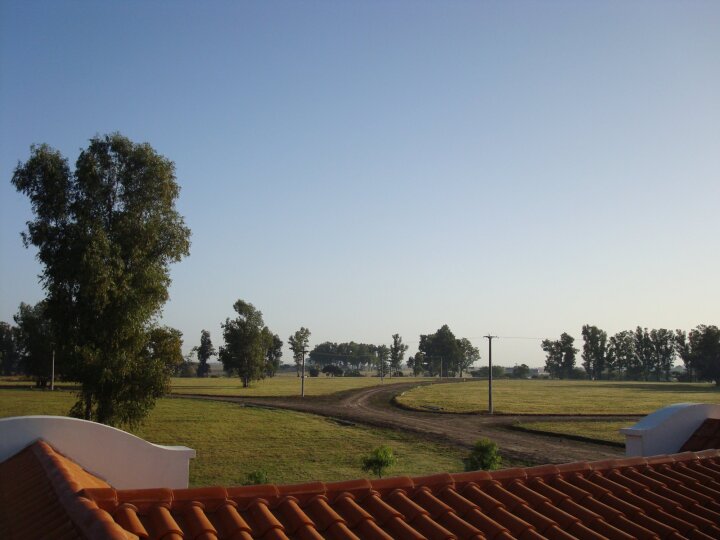 Terrenos - Timbues - Venta