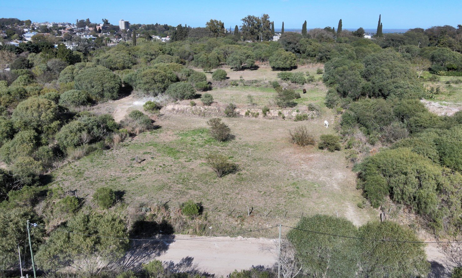 LOTE 1 - 2 lotes con gran superficie, ideales para desarrollo o residencia - Lopez Jordan a metros de Boulevard Eva Peron - 4