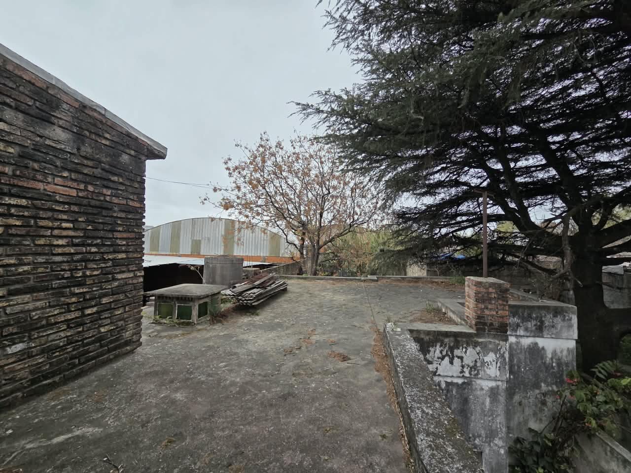 Venta 2 casas a reciclar sobre lote de 434m2 en Virasoro 2900 — foto 11