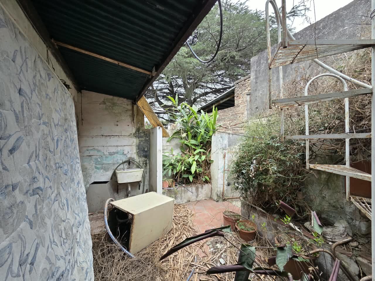 Venta 2 casas a reciclar sobre lote de 434m2 en Virasoro 2900 — foto 15