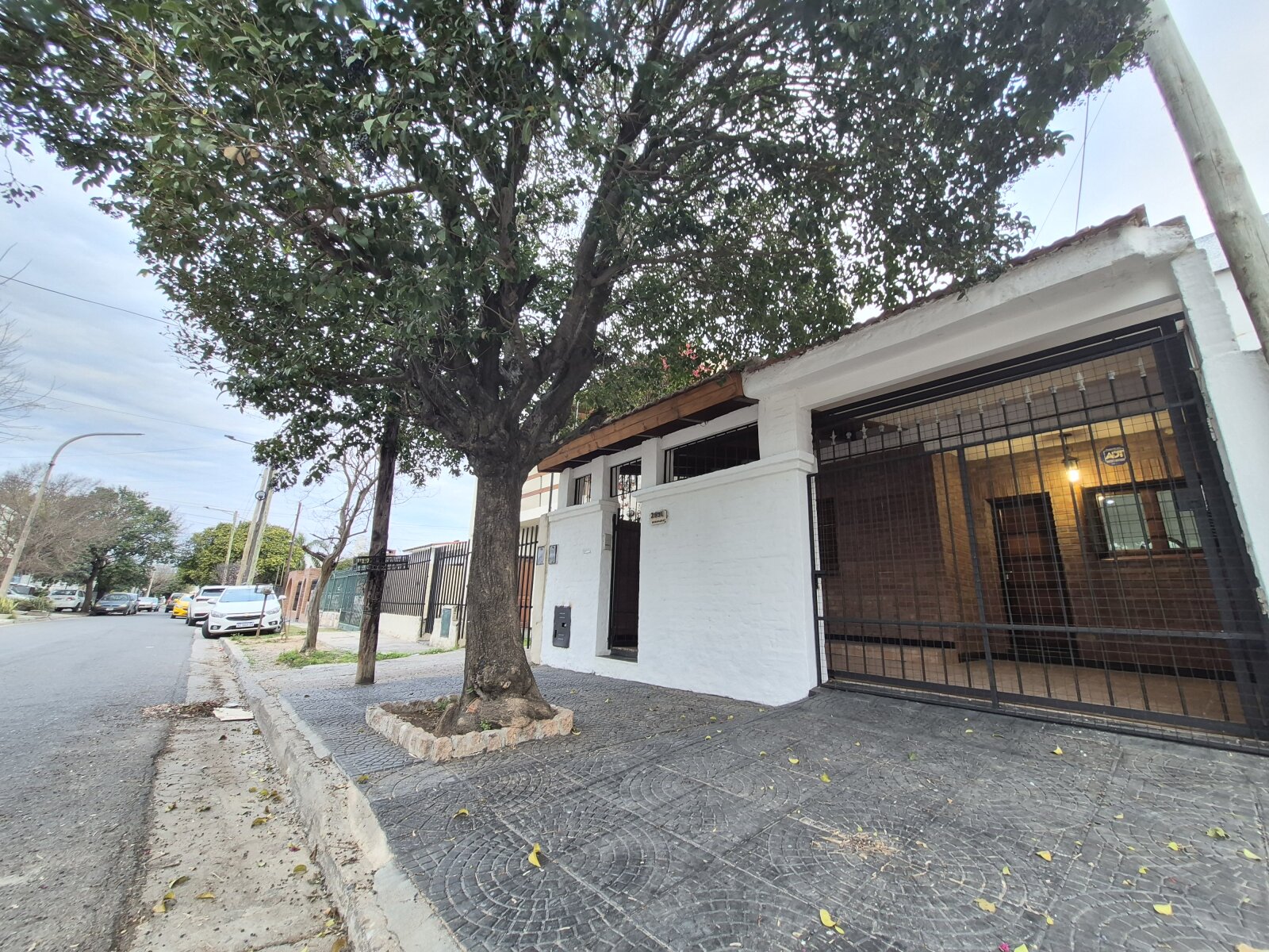 TRISTAN ECHEGARAY | LEON PINELO | ALTO ALBERDI - 9