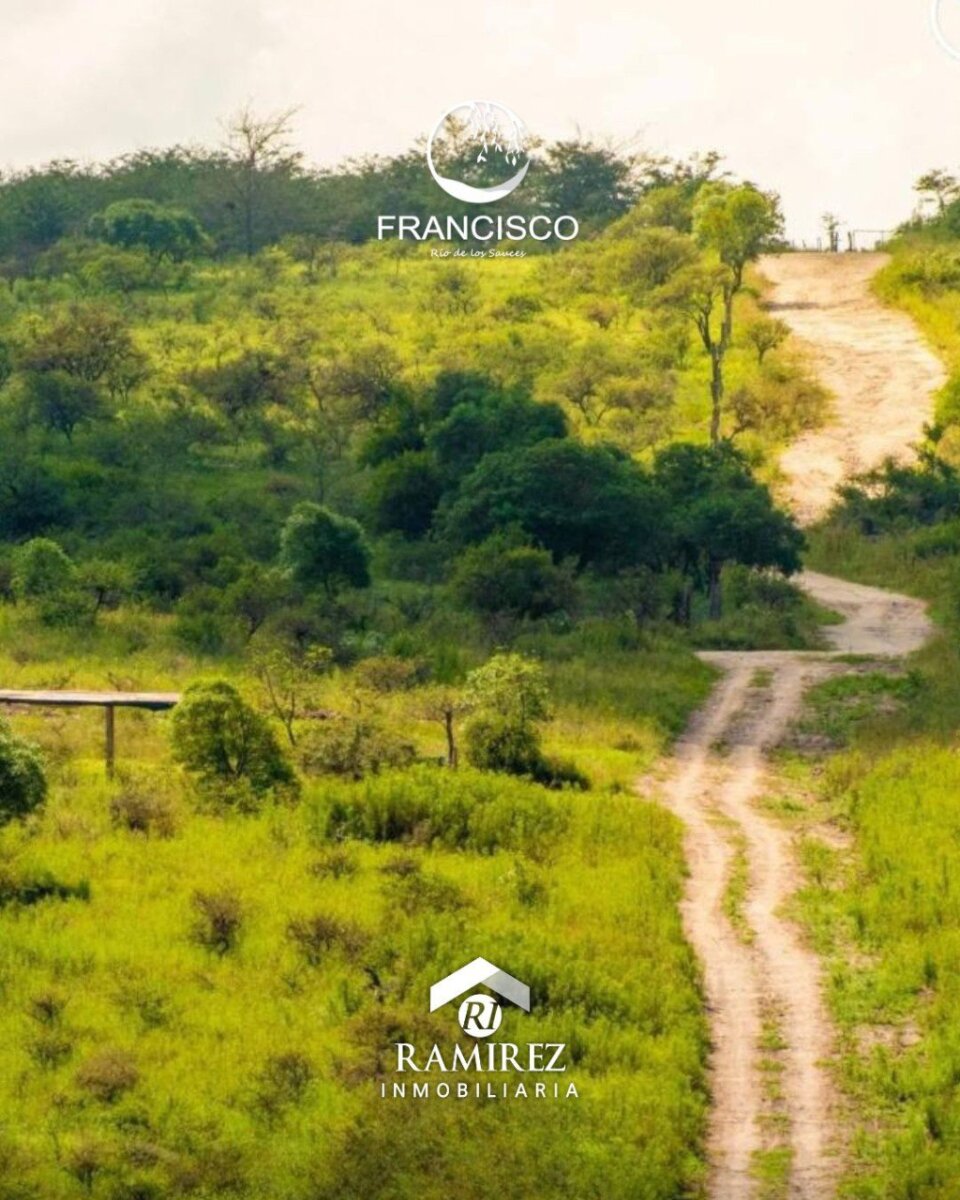 Loteo Francisco - Rio de los Sauces - 9