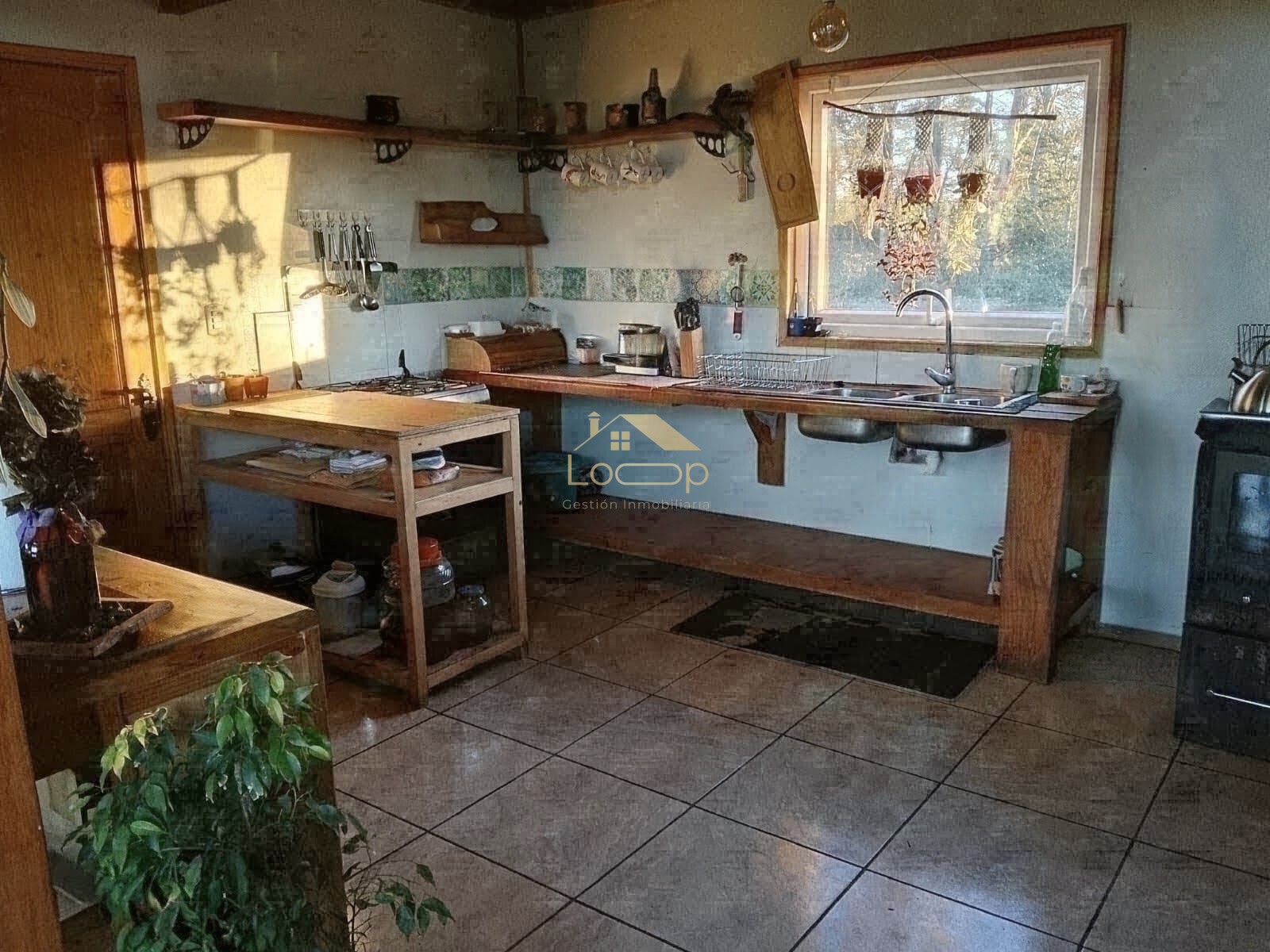 Foto 12