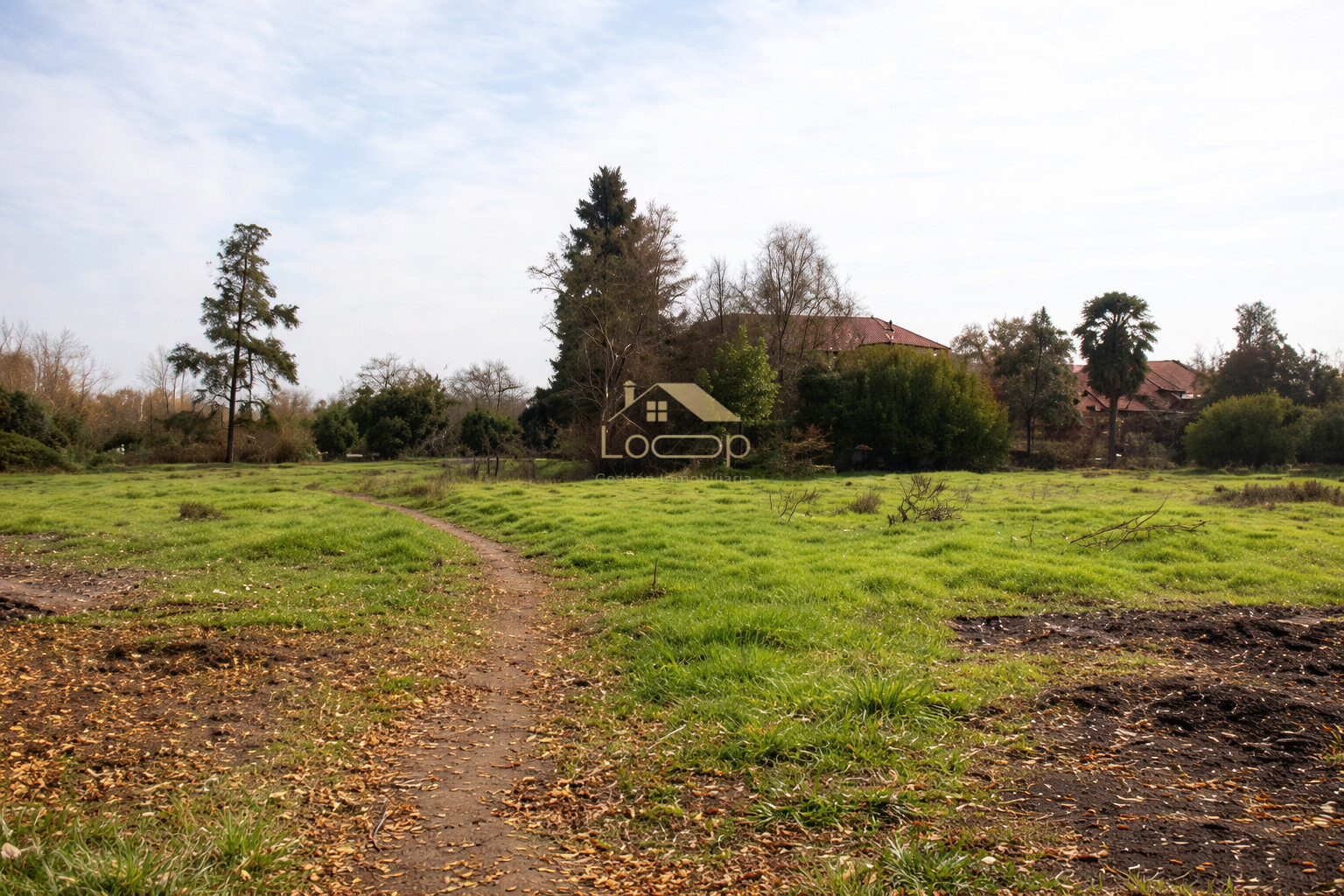 Oportunidad: Terreno plano de 3,1 hectáreas en Culitrín – Camino a Chada
