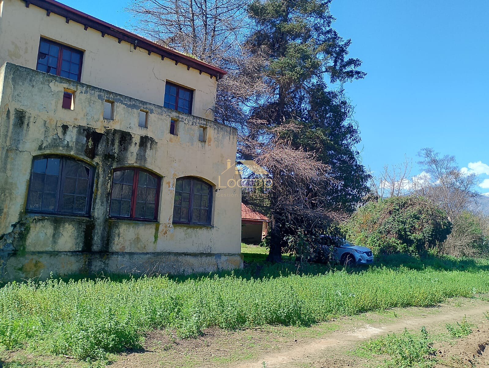 Foto 5