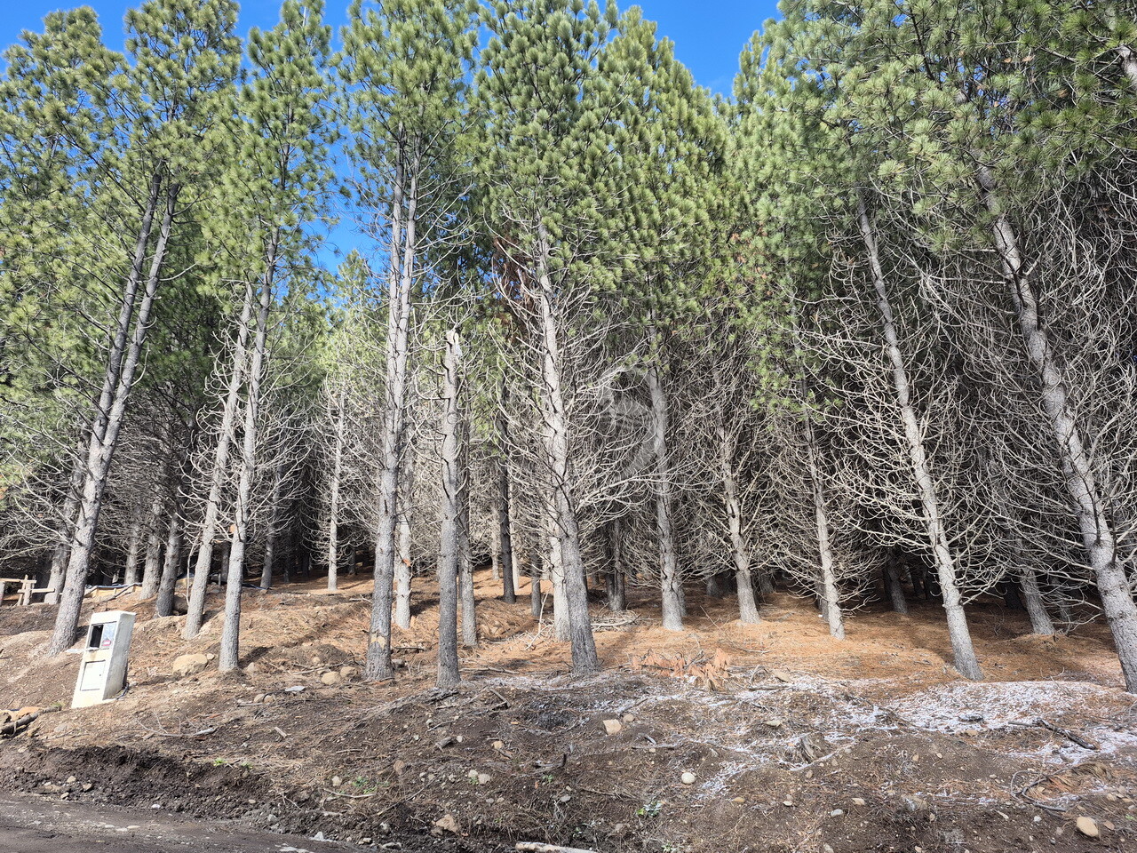 Lote RD11 en barrio El Remanso con fondo a espacio verde en San Martín de los Andes - 3