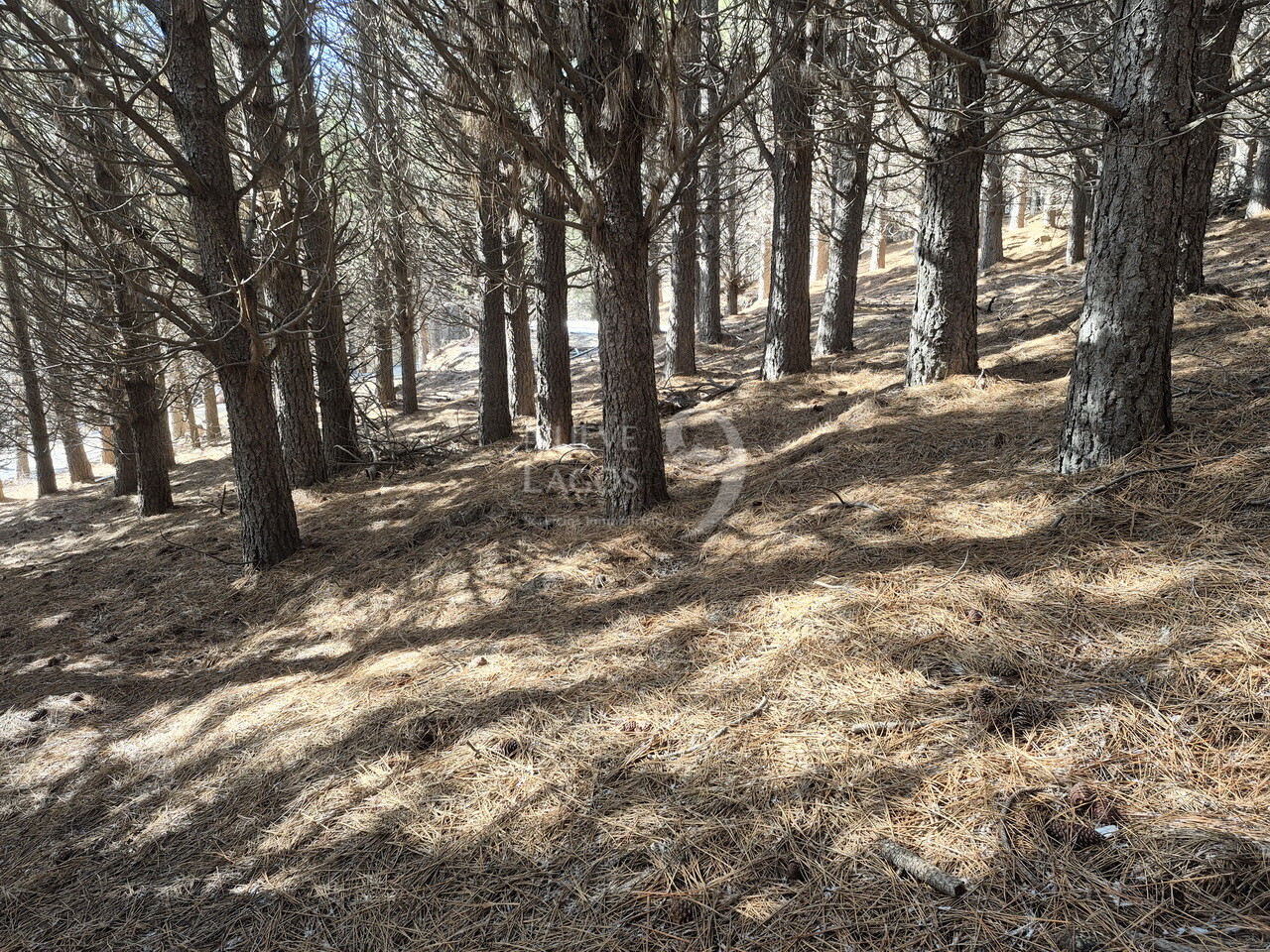 Lote RD11 en barrio El Remanso con fondo a espacio verde en San Martín de los Andes - 11