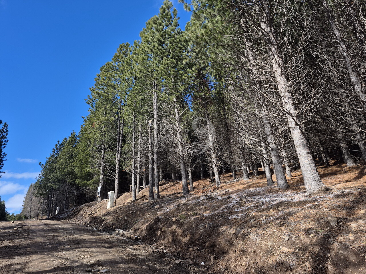 Lote RD11 en barrio El Remanso con fondo a espacio verde en San Martín de los Andes - 2