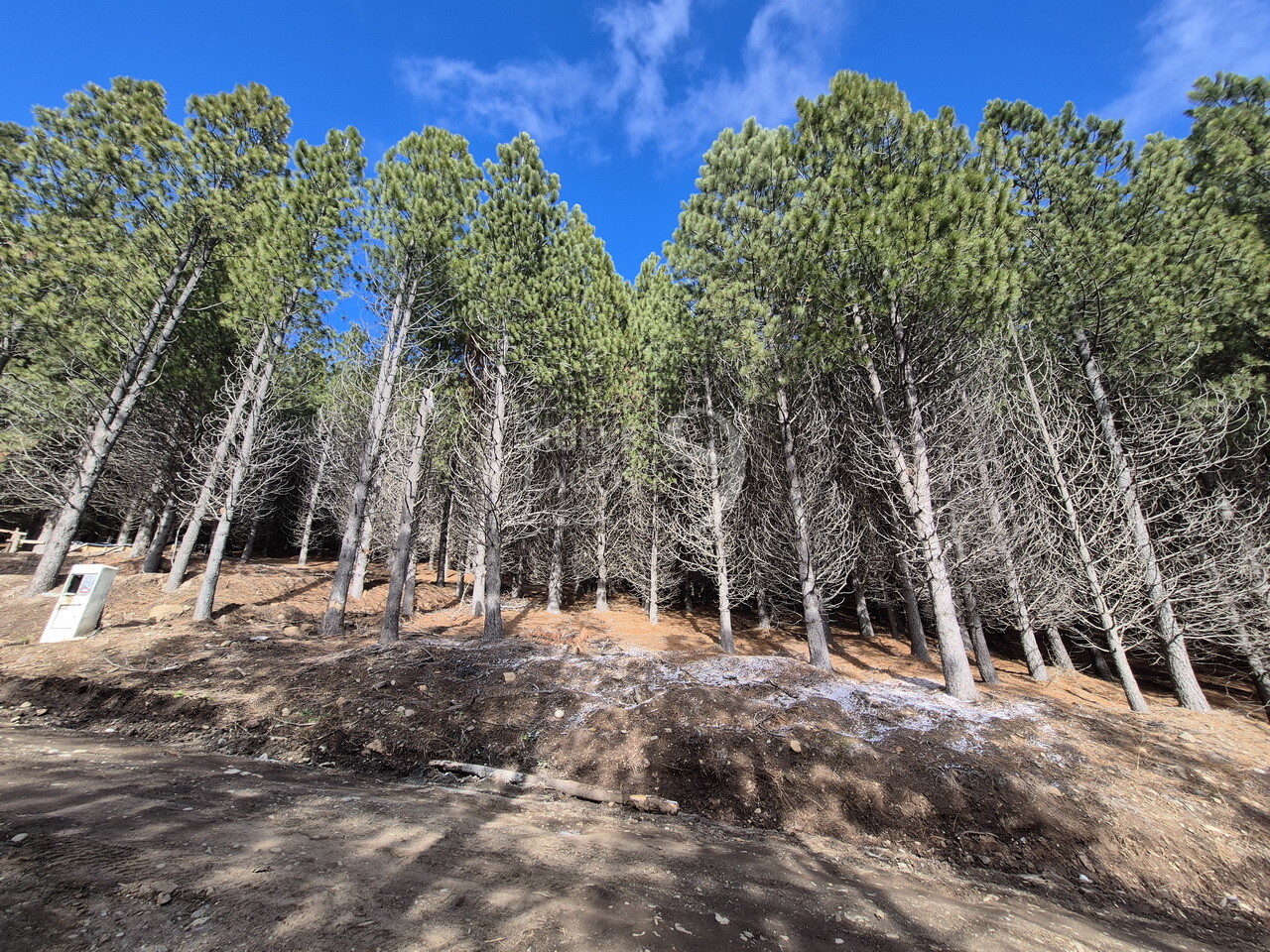 Lote RD11 en barrio El Remanso con fondo a espacio verde en San Martín de los Andes - 15