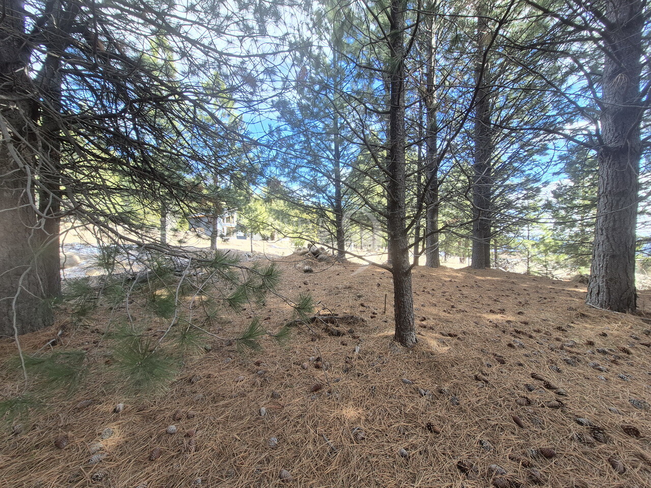 Lote RA17 en Barrio El Remanso con vistas abiertas en San Martín de los Andes - 13