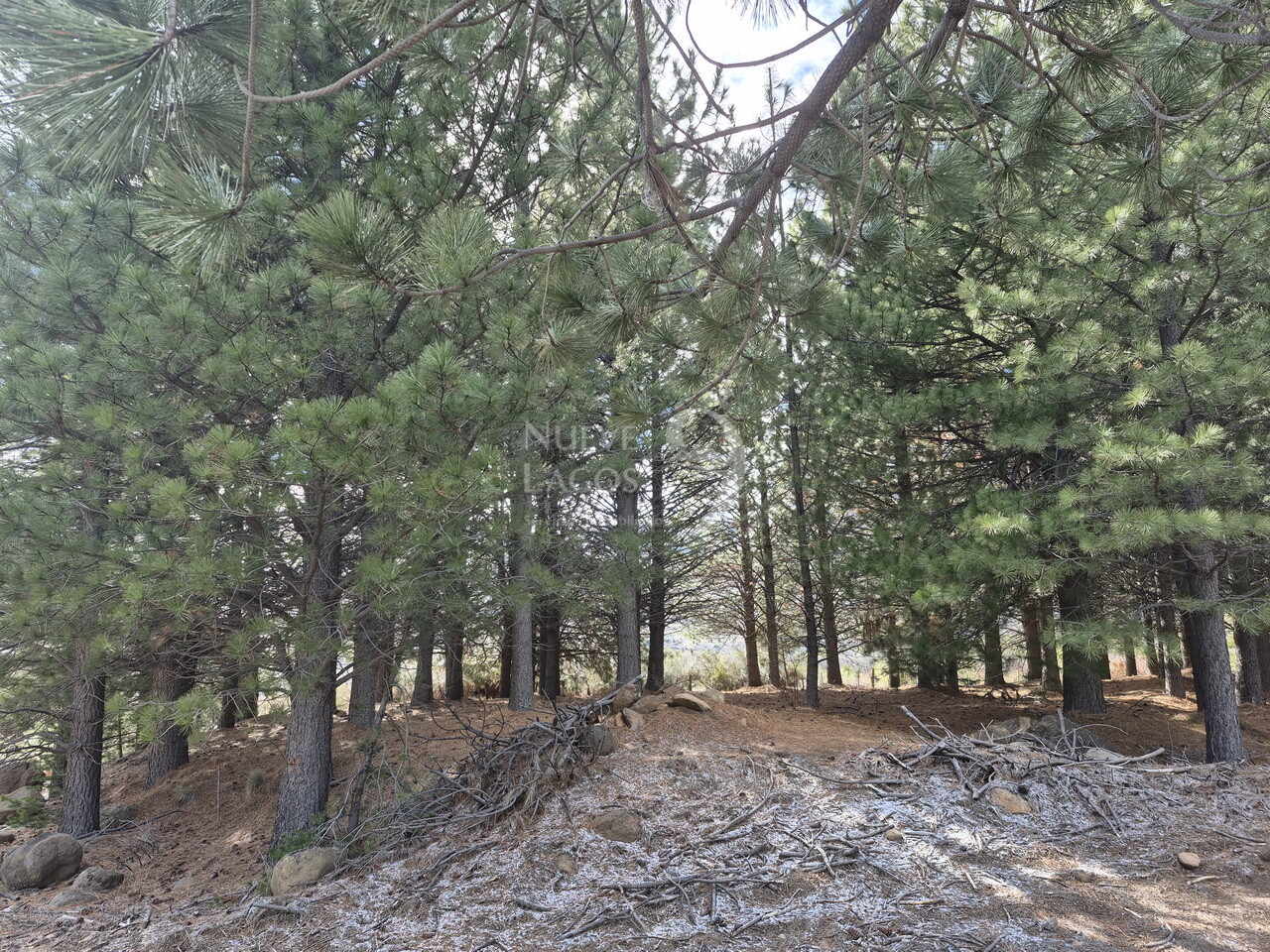 Lote RA17 en Barrio El Remanso con vistas abiertas en San Martín de los Andes - 12