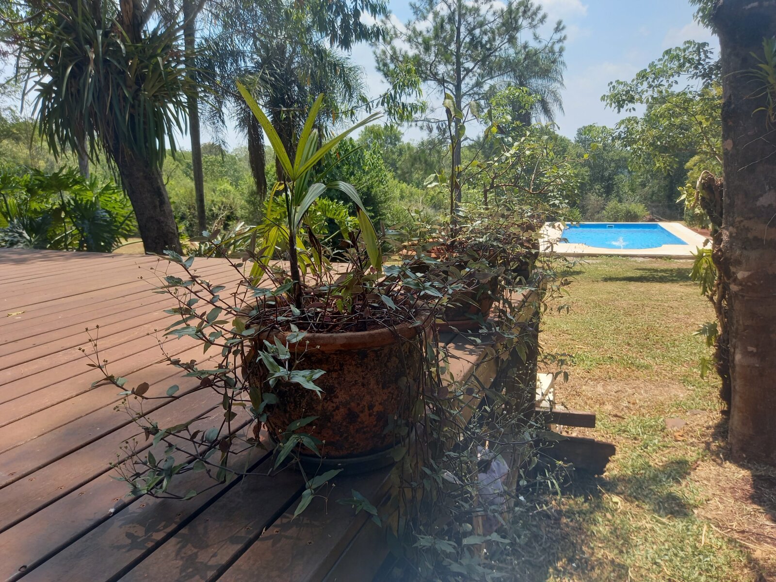 Complejo Turístico En Venta Sobre Ruta 12 Eldorado - 23