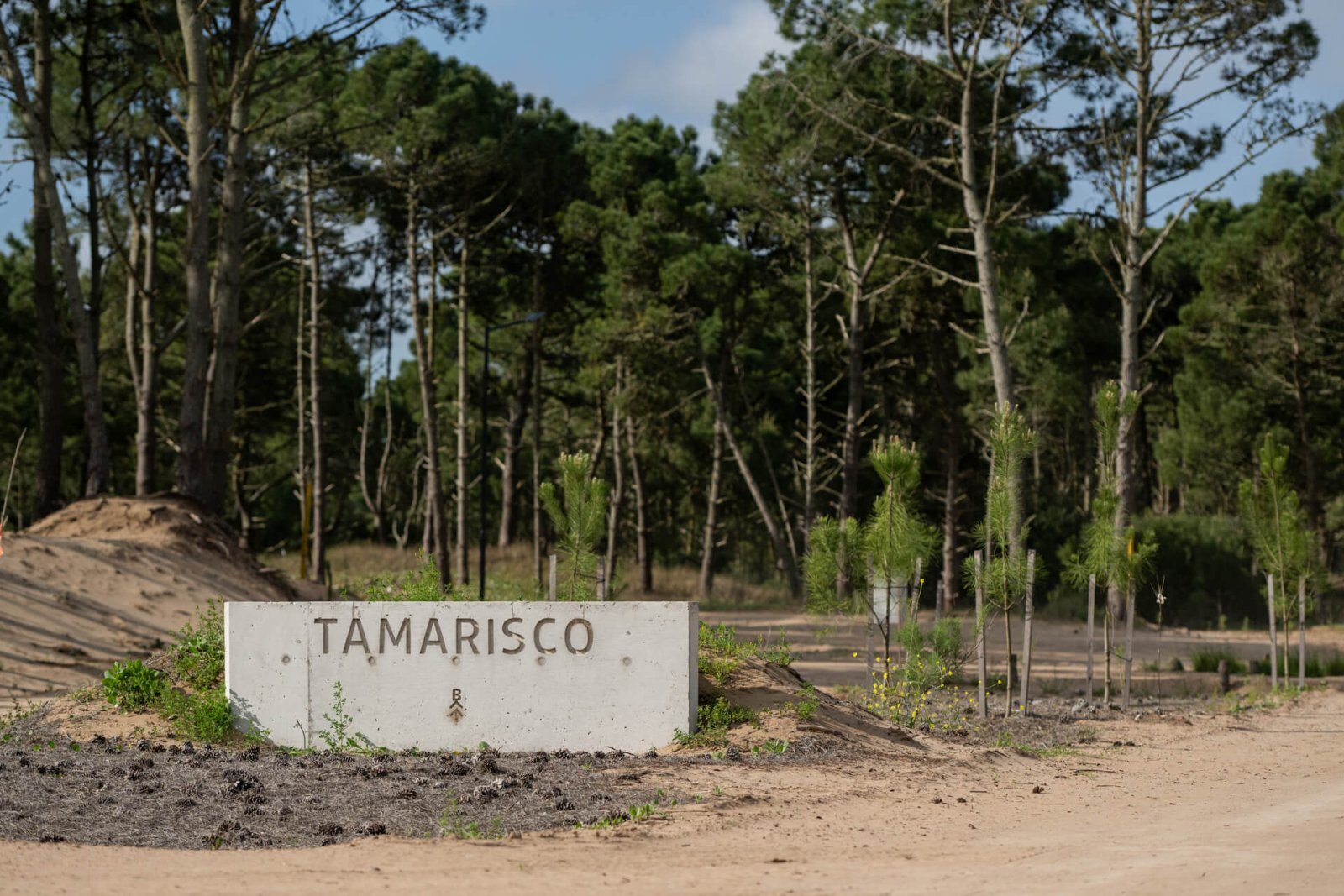 Terreno en venta, Pinamar barrio bosques, seguridad 24 horas, amenities - 3