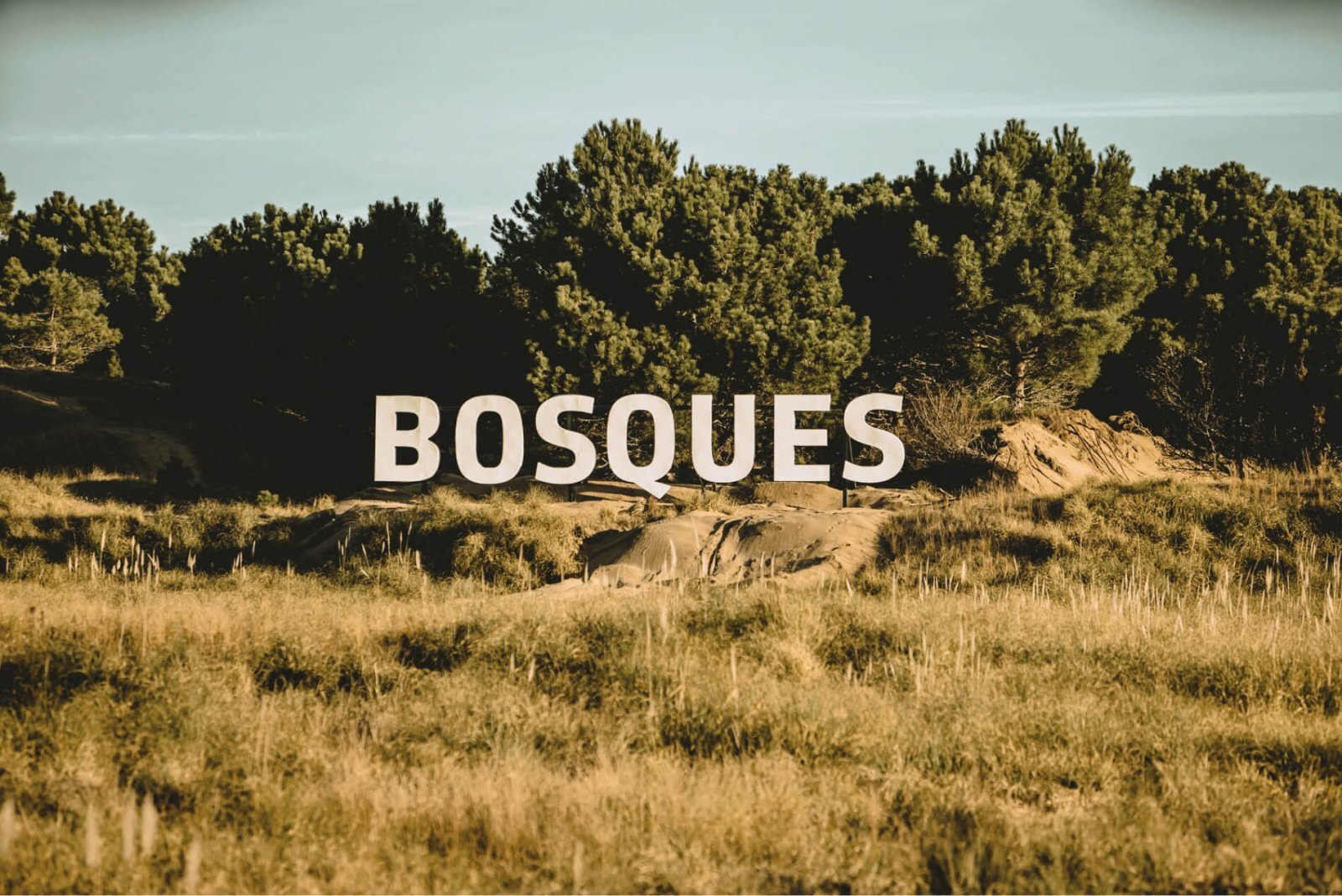 Terreno en venta, Pinamar barrio bosques, seguridad 24 horas, amenities - 4