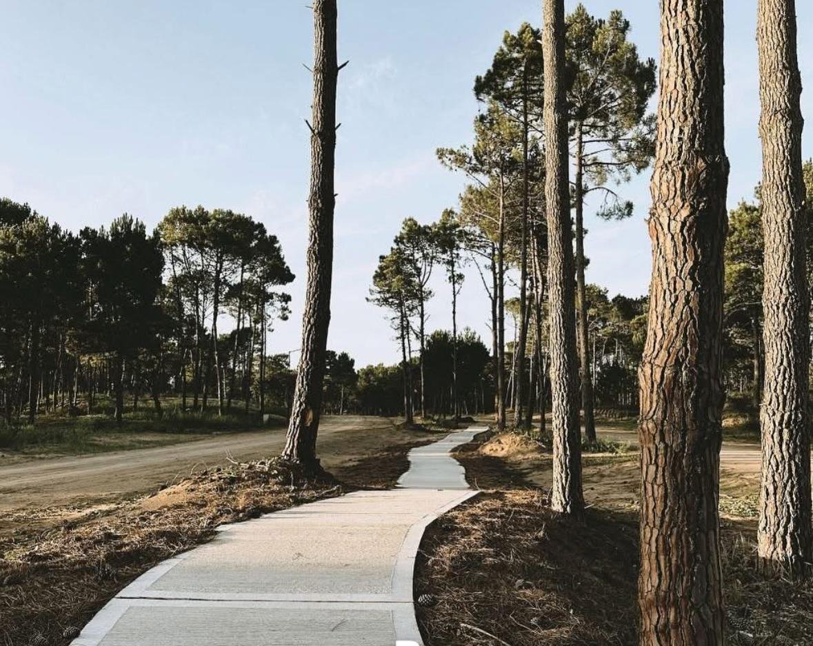 Terreno en venta, Pinamar barrio bosques, seguridad 24 horas, amenities - 10