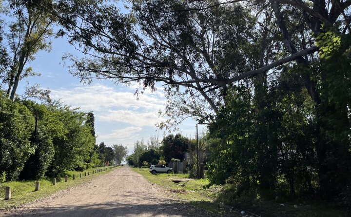 Terrenos - Alvarez - Venta