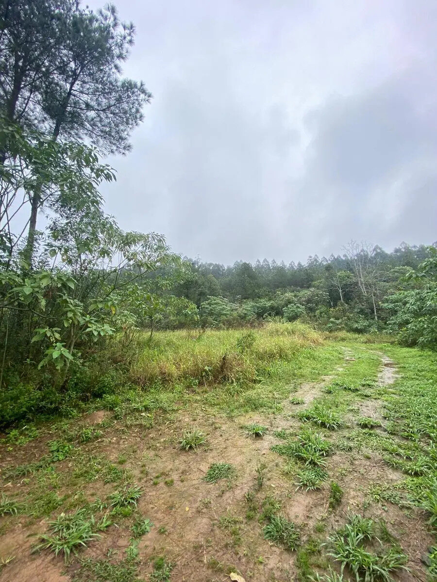 TERRENO RESIDENCIAL EN VENTA UBICADO EN MONTECARLO | MISIONES - 5
