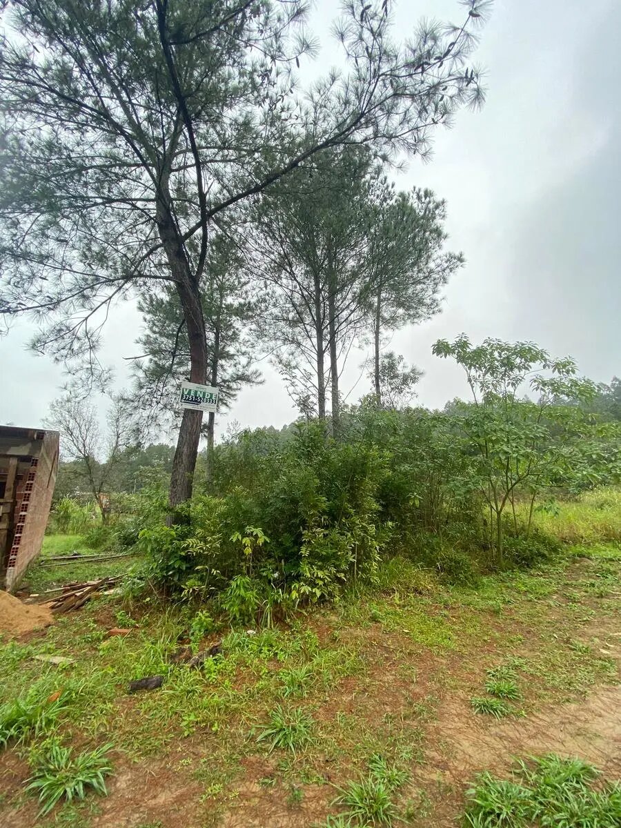 TERRENO RESIDENCIAL EN VENTA UBICADO EN MONTECARLO | MISIONES - 4