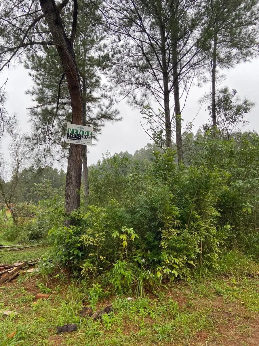 TERRENO RESIDENCIAL EN VENTA UBICADO EN MONTECARLO | MISIONES - 1