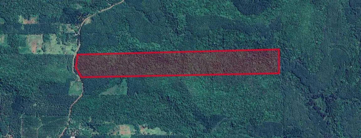 Chacra De 44ha Ubicada En Sgo. De Liniers, Eldorado - Pcia. De Misiones - 1