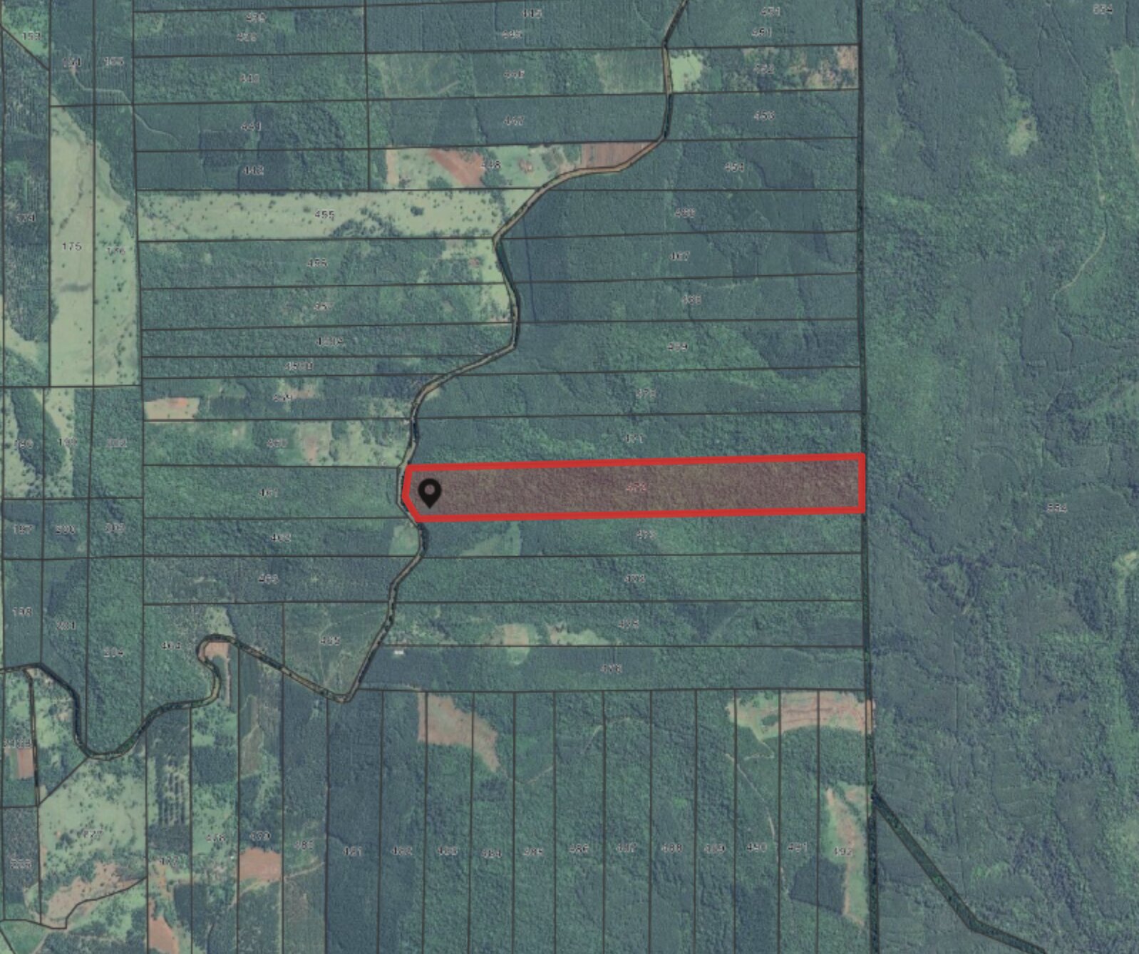 PROPIEDAD AGRICOLA/FORESTAL DE 41HA EN VENTA EN SANTIAGO DE LINIERS | MISIONES - 5