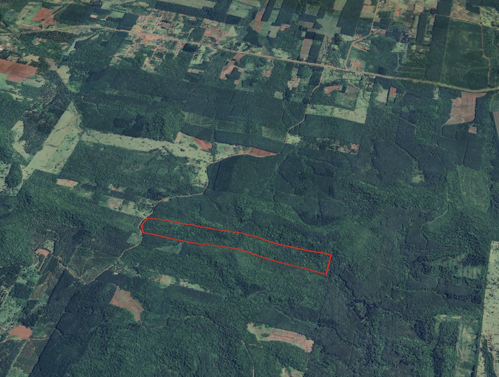 PROPIEDAD AGRICOLA/FORESTAL DE 41HA EN VENTA EN SANTIAGO DE LINIERS | MISIONES - 3