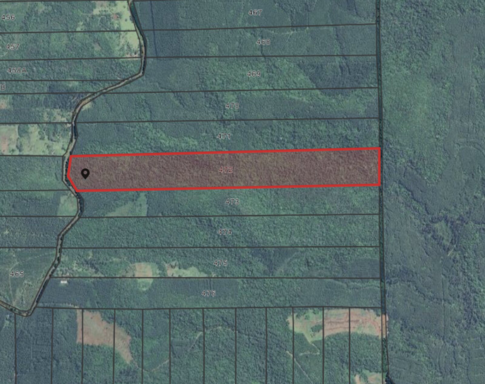 PROPIEDAD AGRICOLA/FORESTAL DE 41HA EN VENTA EN SANTIAGO DE LINIERS | MISIONES - 4
